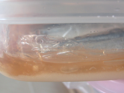 魚の水分が出る